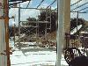 Decking and Pergola Framework 14